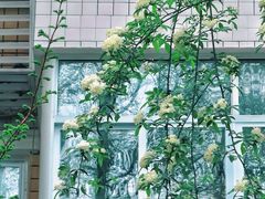 -四川大学(望江校区)