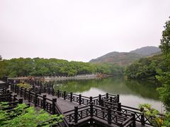 -白马涧龙池景区