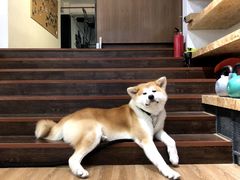 -YCHL Studios健身工作室(市二宫店)