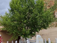 -比如骷髅墙景区