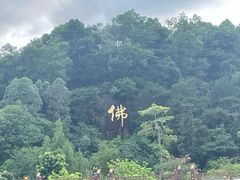 -三水森林公园