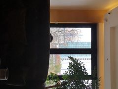 -自由之丘