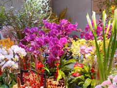 -花里花店(唐镇阳光天地店)