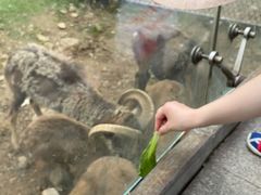 -无锡动物园·太湖欢乐园