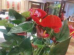 -杭州香格里拉·香宫中餐厅