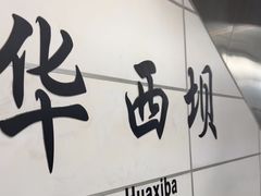 -华西坝(地铁站)
