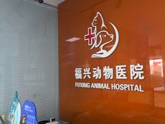 -瑞派福兴宠物医院犬猫全科·骨科·中西医结合(河东店)