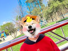 -南戴河国际娱乐中心