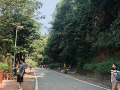 -火炉山森林公园