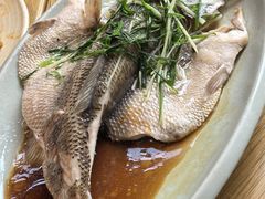 -阳朔糖舍酒店·糖舍餐厅&酒吧