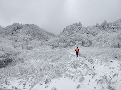 -终南山国家森林公园