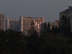 -四海公园(南山区)