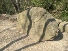 -上海佘山国家森林公园天马山园