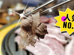 -金顺韩式烤肉·网红烤肉店(广利路店)