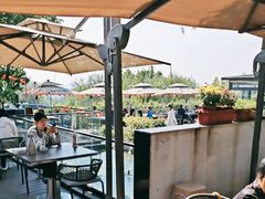 -蘇河湾·新鲁菜·泰山宴(泰山店)