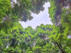 -重庆中央公园(渝北区)