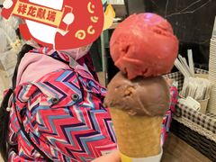 -LUNEURS月乐诗·法式冰淇淋(环贸店)