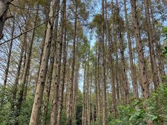 -同里国家湿地公园