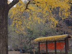 -莫干山风景区