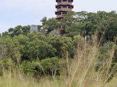 -红花山公园
