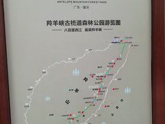 -羚羊峡古栈道森林公园