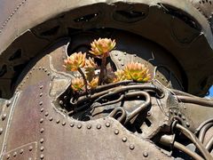 -三鹰之森吉卜力美术馆