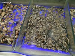 -银鲨海鲜烤肉火锅自助餐厅(五星店)