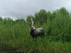 景点-溱湖国家湿地公园