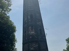 -上海佘山国家森林公园天马山园