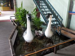 -鹅城