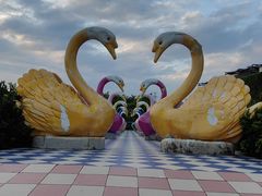 -百万葵园