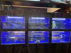 水产区-院里寻菜·精致庭院菜(观沙岭店)