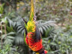 -南宫五洲植物乐园