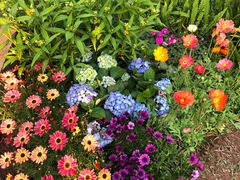 -人民公园(罗湖区)