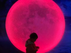-天津梵高星空艺术馆(天河城旗舰店)
