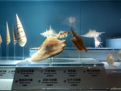 -温州博物馆