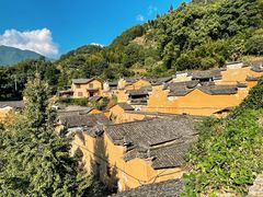 -杨家堂村