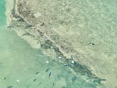 -三亚西岛海洋文化旅游区