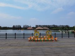 -上海长兴岛郊野公园