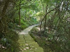 -采石矶景区