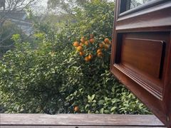 -苏城小院·园林精致苏州菜(斜塘老街店)
