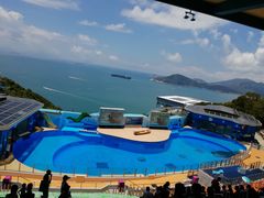 -麦当劳(海洋公园店)