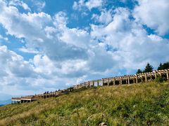 -白草畔自然风景区