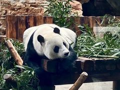 -石家庄市动物园