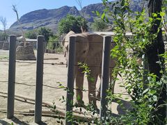 -新疆天山野生动物园