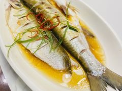 清蒸白丝鱼-状元楼(金溪路店)