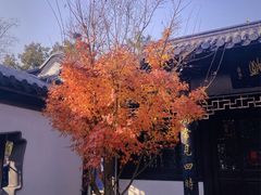 -南通濠河风景名胜区