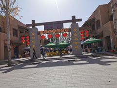 -金塔沙漠胡杨林景区