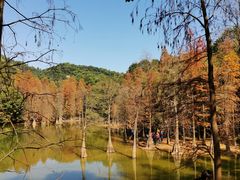 -广州市白云山风景名胜区