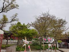 -广富林郊野公园